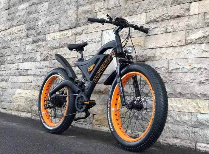 Top electric bicycles: Eltreco Overview and Bicycle Minsk Veloshvod, other manufacturers. Rating of the easiest adult and children's bicycles 20173_2