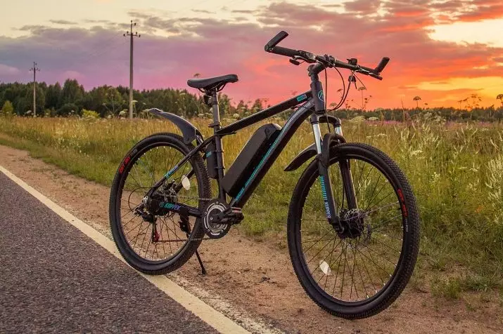 頂級電動自行車：Eltreco概述和自行車Minsk Veloshvod，其他廠家。最簡單的成人和兒童自行車的評級 20173_24