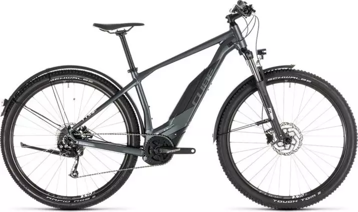 Top electric bicycles: Eltreco Overview and Bicycle Minsk Veloshvod, other manufacturers. Rating of the easiest adult and children's bicycles 20173_5
