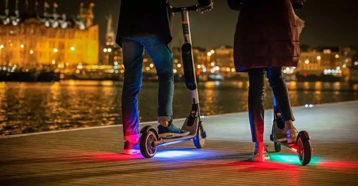 electrosocates Segway: Descripción de los scooters eléctricos. Batería y otros componentes 20177_12