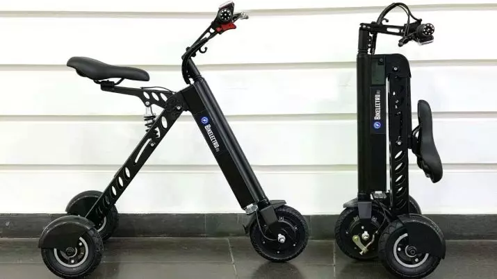Tres rodes embornals elèctrics: els adults i els scooters elèctrics dels nens sobre tres rodes. Plegable i altres models de scooters de 3 rodes 20180_21