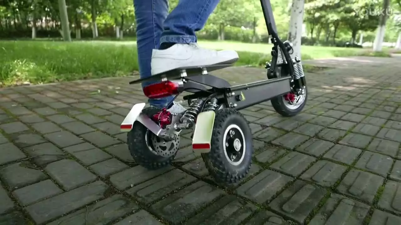 Tres rodes embornals elèctrics: els adults i els scooters elèctrics dels nens sobre tres rodes. Plegable i altres models de scooters de 3 rodes 20180_23