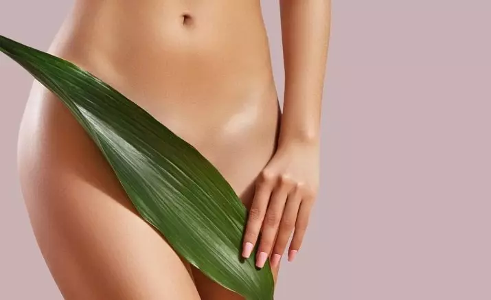 Bikini zona (21 fotografije): uklanjanje dlaka na intimnim mjestima kod žena. Kako u potpunosti ukloniti kosu duž bikini linije? Fondovi 201_18