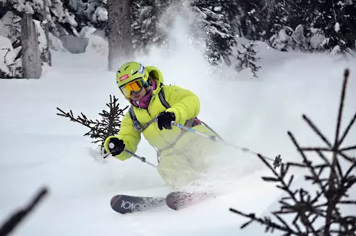 Jaket Ski: Jaket musim dingin wanita untuk ski lintas negara, pemanasan anak-anak dan jaket pemain ski dewasa. Bagaimana cara memilih skating? 20201_37