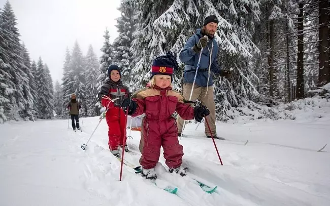 Dječje skijanje (45 slika): Kako ih odabrati za vaše dijete? Skije sa cipelama i bez. Kako odabrati veličinu škole i za djecu? Drvene i plastične skije 20212_3