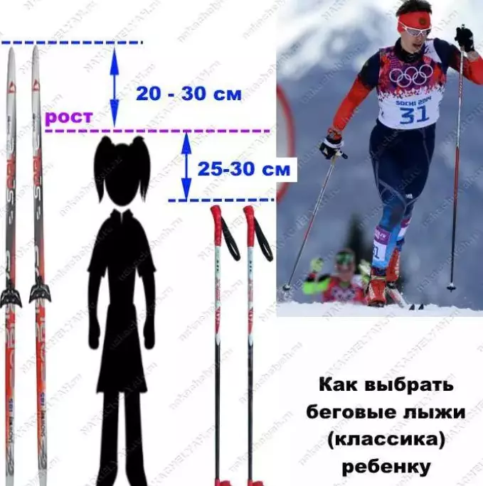 兒童滑雪棍：如何正確接他們的孩子？如何選擇一個長度？如何在手上戴棍子？他們組成了哪些零件？ 20214_17