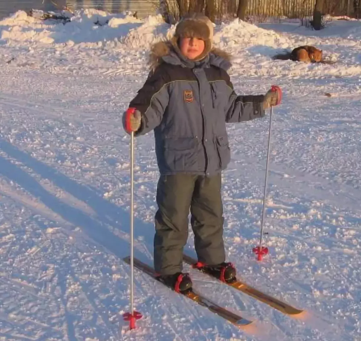 Sticks de esqui infantil: Como pegá-los corretamente para uma criança? Como escolher um comprimento? Como usar um pau na sua mão? Quais partes eles consistem? 20214_2
