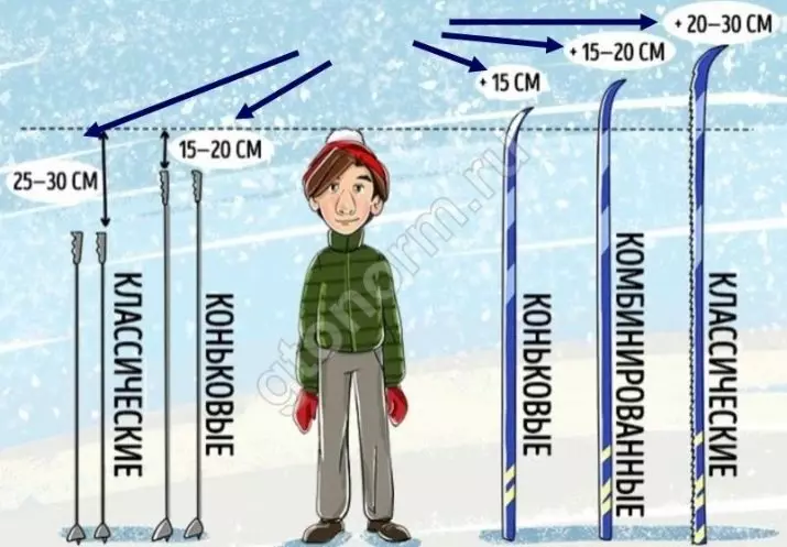 Skidåkning för barn 7-8 år: Hur man väljer barns skidor med skor och utan? Hur man väljer dem att gå till skolan? Välj trä eller plastskidor? 20215_11