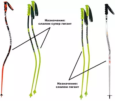 Ski Sticks. Ինչպես ընտրել լեռնային դահուկների աճը: Աստղադիտակի եւ այլ մոդելներ: Ինչու է դահուկորդները ձողիկներ ձողիկներ: Չափերը 20216_19