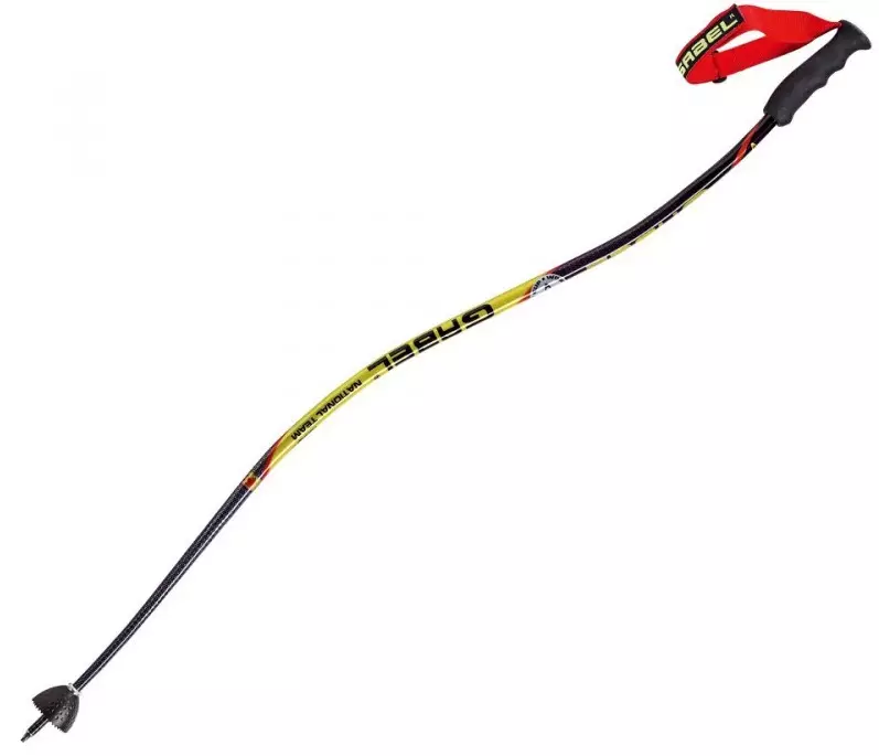 Ski Sticks: Ungayikhetha kanjani i-skis yentaba ngokukhula? Telescopic namanye amamodeli. Kungani izikejana zinamajika ama-sticks? Ubukhulu 20216_20