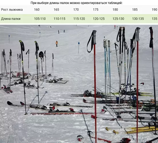 Ski Sticks. Ինչպես ընտրել լեռնային դահուկների աճը: Աստղադիտակի եւ այլ մոդելներ: Ինչու է դահուկորդները ձողիկներ ձողիկներ: Չափերը 20216_28