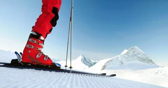 Ski Sticks. Ինչպես ընտրել լեռնային դահուկների աճը: Աստղադիտակի եւ այլ մոդելներ: Ինչու է դահուկորդները ձողիկներ ձողիկներ: Չափերը 20216_29