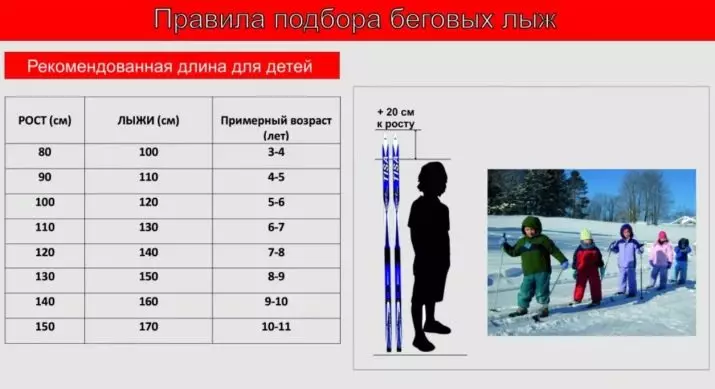 Laste töötab suusatamine: kuidas valida oma lapse kasvu? Kuidas valida suuski lastele 3-4 ja 7-8 aastat? Ülevaade komplekti ja valik inventar 20230_26