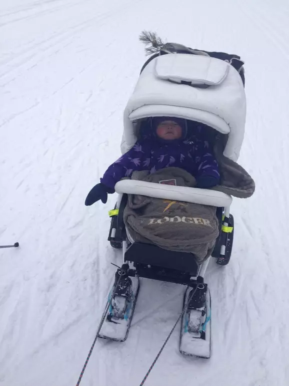 Skiën voor kinderwagen: pads op de wielen van een kinderwagen voor de winter, mini-ski's op de voorwielen en sets van 4 stuks., Tips om te kiezen 20237_29