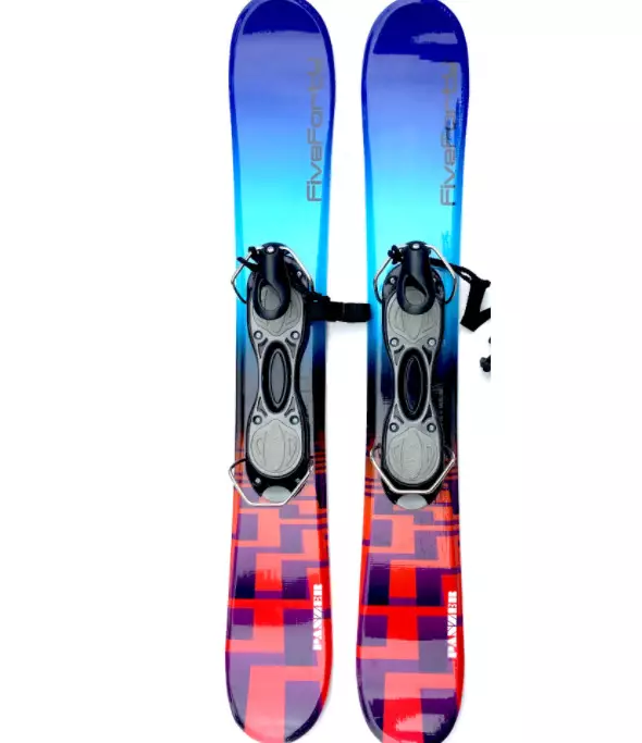 Skibords i snowbleys: planinski kratki skijanje za odrasle, pričvršćivanje za njih, izbor za početnike i postavljanje 20241_13