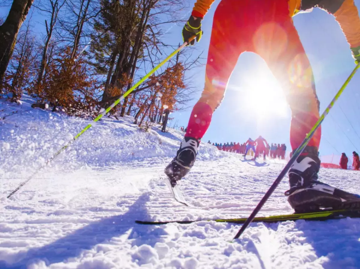 Què esquís clàssics difereixen de la ratlla? distincions visuals d'esquí de fons 