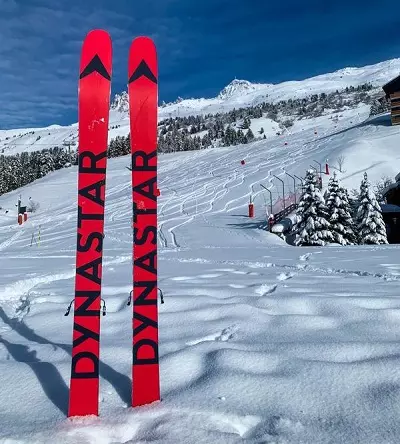 Ski Dynastar: Overzicht van bergmodellen. Wat zeggen kopers? 20256_19