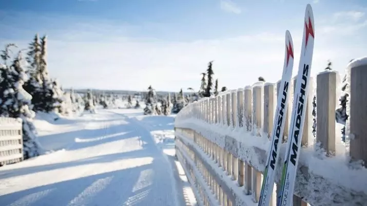 Ski Madshus: Ngajalankeun, kanggo stroke tali sareng skis sanés, model. Pilarian sareng pedang sareng déwasa, seleksi ku beurat. Ulasan ulasan 20277_22