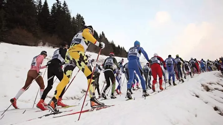 Ski Madshus: Ngajalankeun, kanggo stroke tali sareng skis sanés, model. Pilarian sareng pedang sareng déwasa, seleksi ku beurat. Ulasan ulasan 20277_24