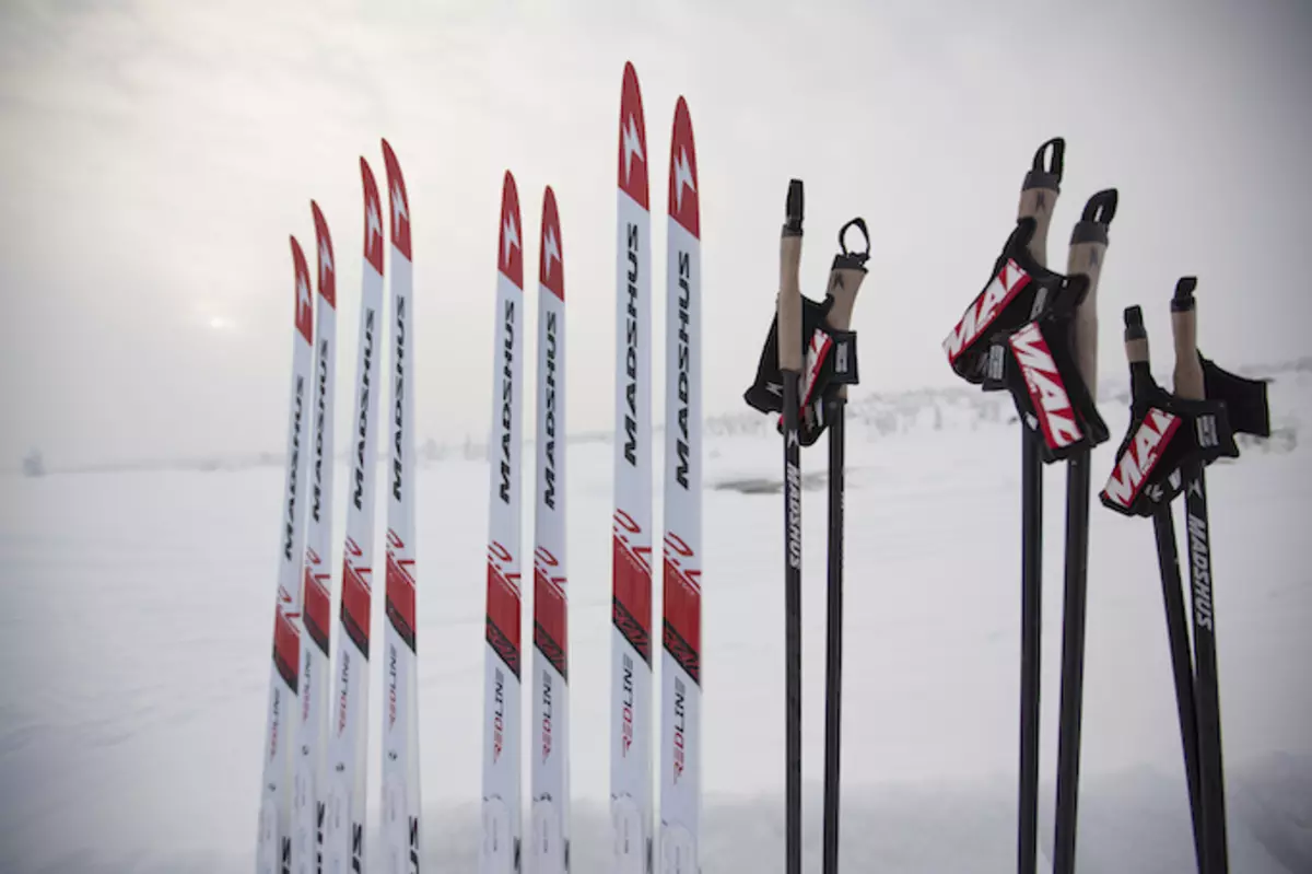 Ski Madshus: Ngajalankeun, kanggo stroke tali sareng skis sanés, model. Pilarian sareng pedang sareng déwasa, seleksi ku beurat. Ulasan ulasan 20277_28