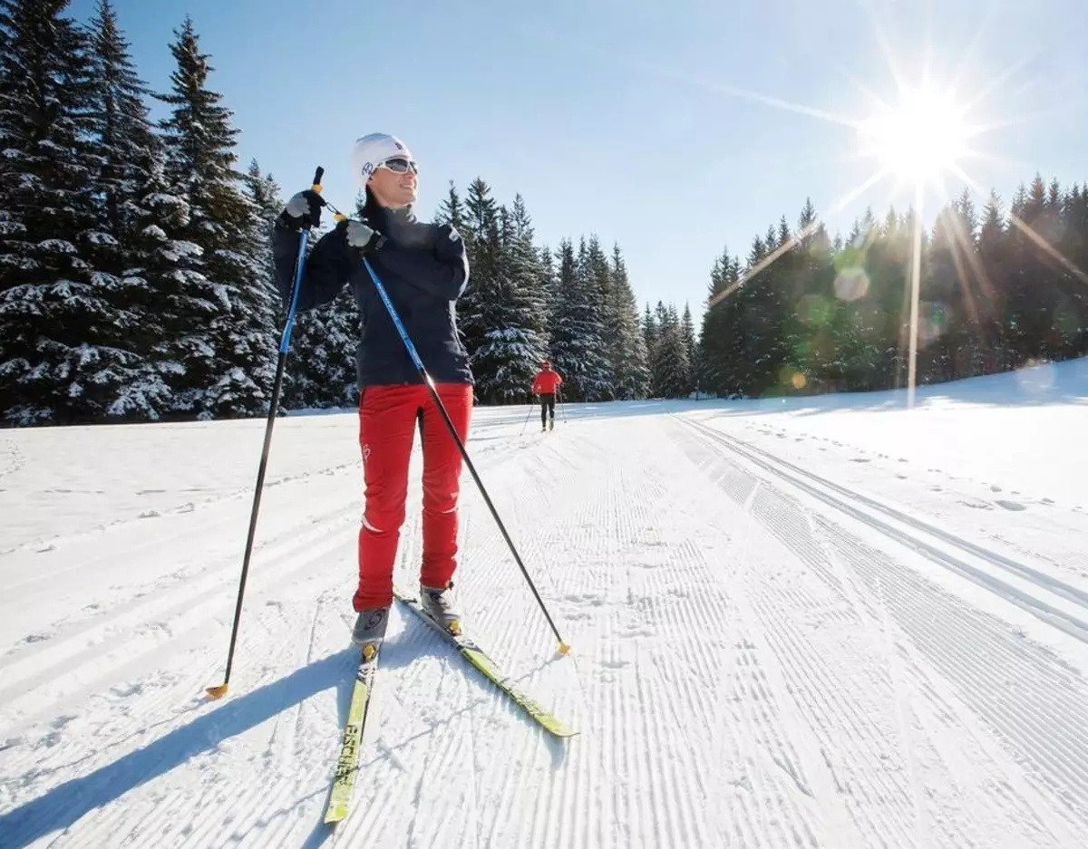 Lubrifikimi i skive: Llojet e ointments ski. Si të lubrifikoni ski në shtëpi për goditjen klasike dhe skate? Masi Holding dhe Slip 20287_35