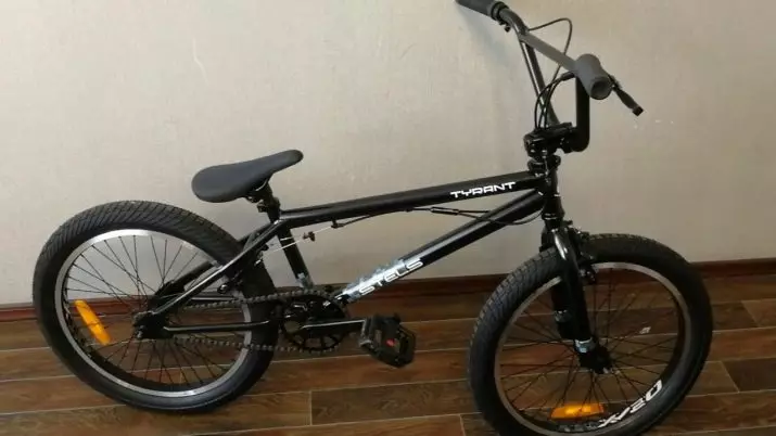 Stels Bicycles (45 mga larawan): Pangkalahatang-ideya ng navigator, pilot, focus serye at iba pang, natitiklop na mga modelo ng bisikleta ng kababaihan at lalaki, mga review ng may-ari 20303_30