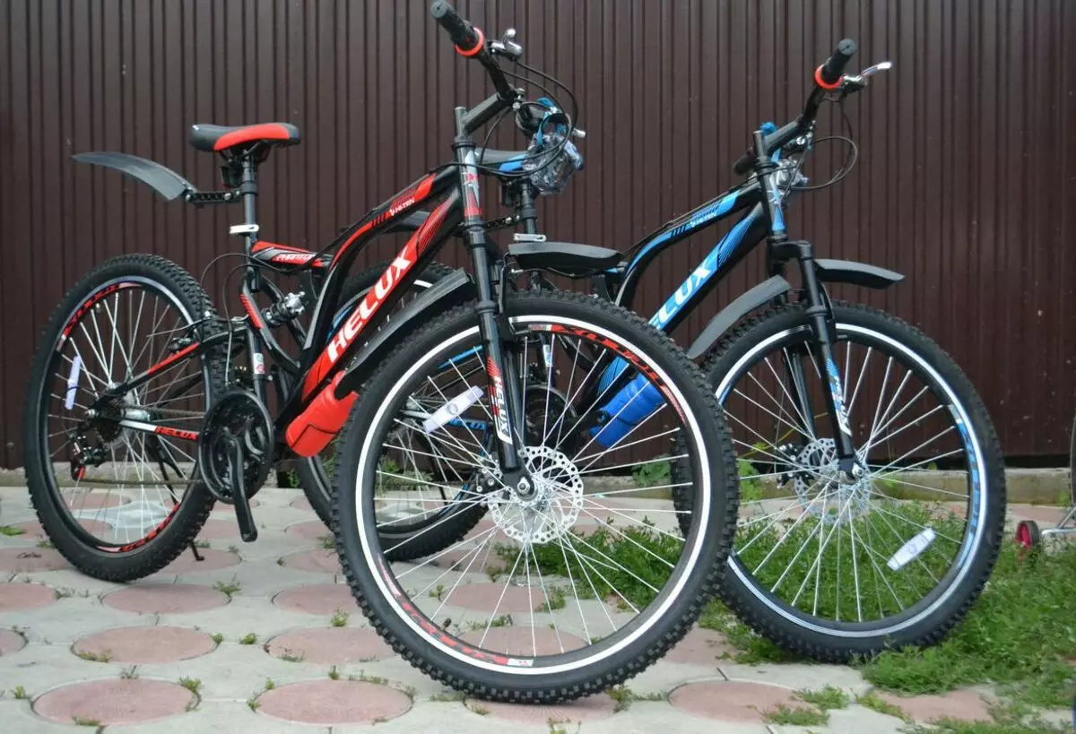 20.000 ruble kadar en iyi bisikletler: En popüler üreticileri ve en iyi modellere 20 bine kadar genel bakış 20306_2