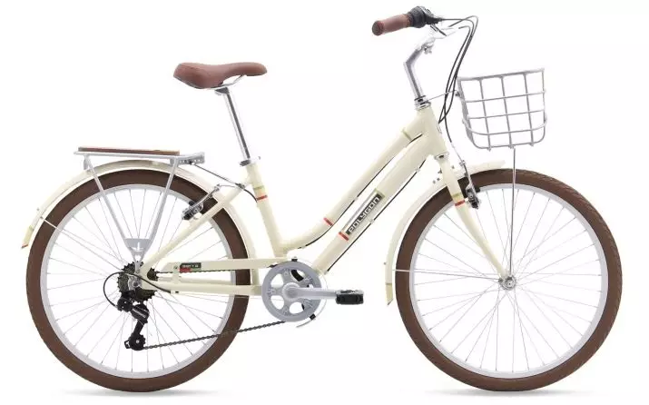 Best Bicycles do 20.000 rubljev: Najbolj priljubljeni proizvajalci in pregled najboljših modelov do 20 tisoč 20306_5
