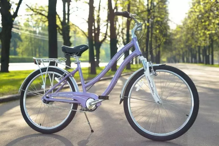 LERTA bicycles: SMART Machine kaj aliaj modeloj 20307_2