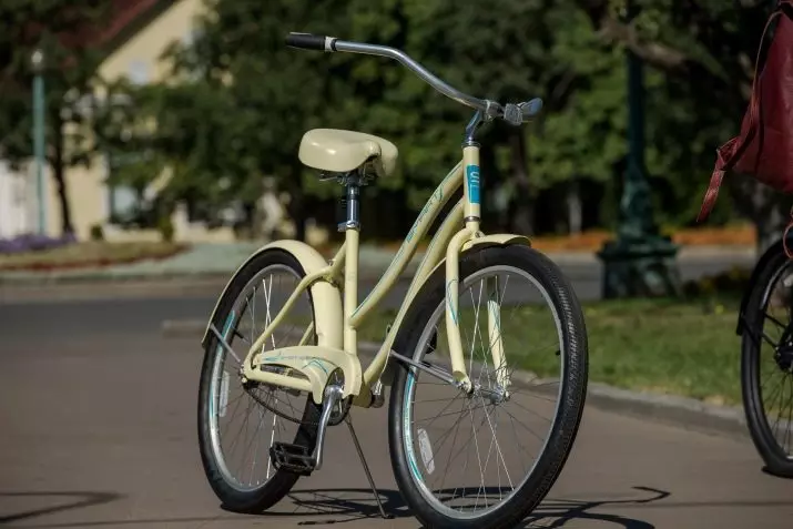 SMART Fahrräder: SMART-Maschine und andere Modelle 20307_4