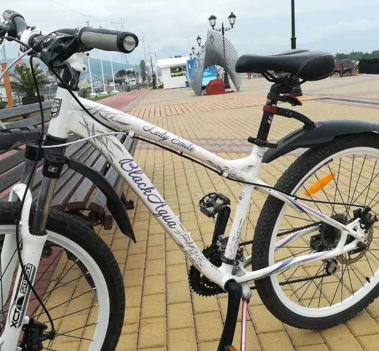 Bicycle Black Aqua: Bike lan bocah diwasa 16-20 inci, Gunung lan karakteristik kasebut. Ulasan Kepemilikan 20309_5