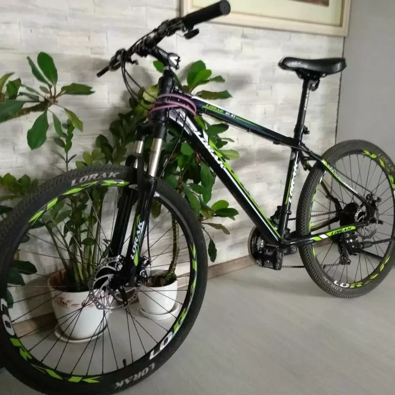 Lorak bycycles: obodo emeputa, ogo igwe ụlọ ọrụ a. Nyocha nyocha 20324_15