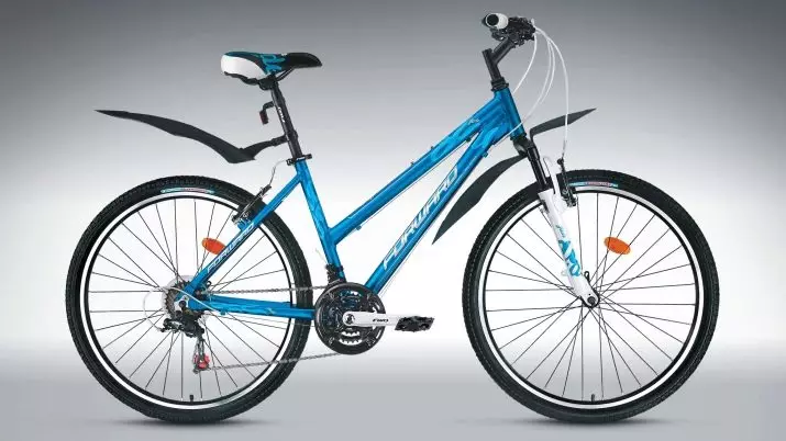 Fremad eller stels: Hvilken slags cykel er bedre? Sammenligning af tekniske specifikationer. Hvad skal man vælge? 20327_4