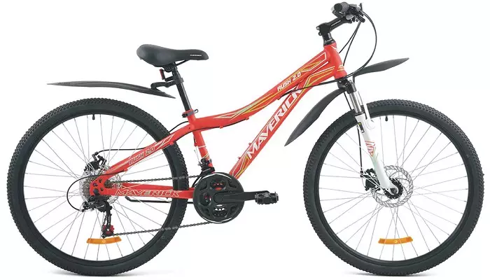自行车专业：自行车概述S12，X15，S36，儿童和其他型号。关于制造商的评论 20336_20