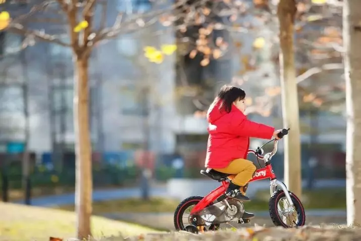 Biciclette Royal Baby: Bambini Space Shuttle da 16 pollici Bici, Pulsanti Lega e altre opzioni 20348_14