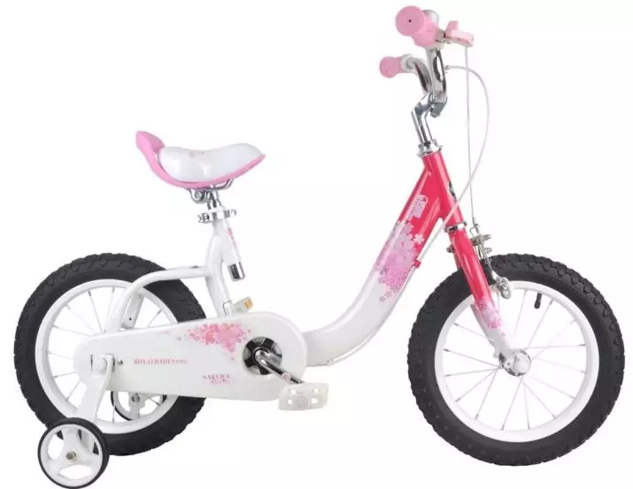 Biciclette Royal Baby: Bambini Space Shuttle da 16 pollici Bici, Pulsanti Lega e altre opzioni 20348_15