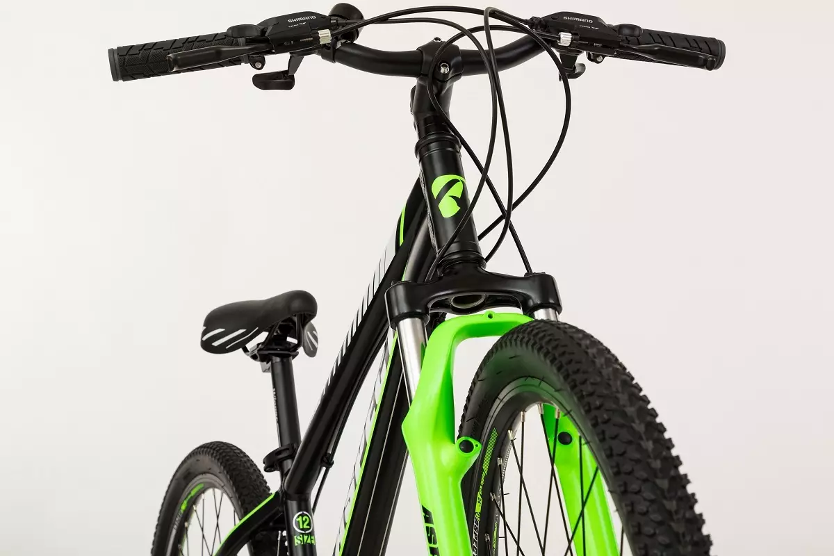 Аспектни бицикли: Земља произвођача. Никл и идеал, Алма и подстицајни, други модели. Коментара 20349_21
