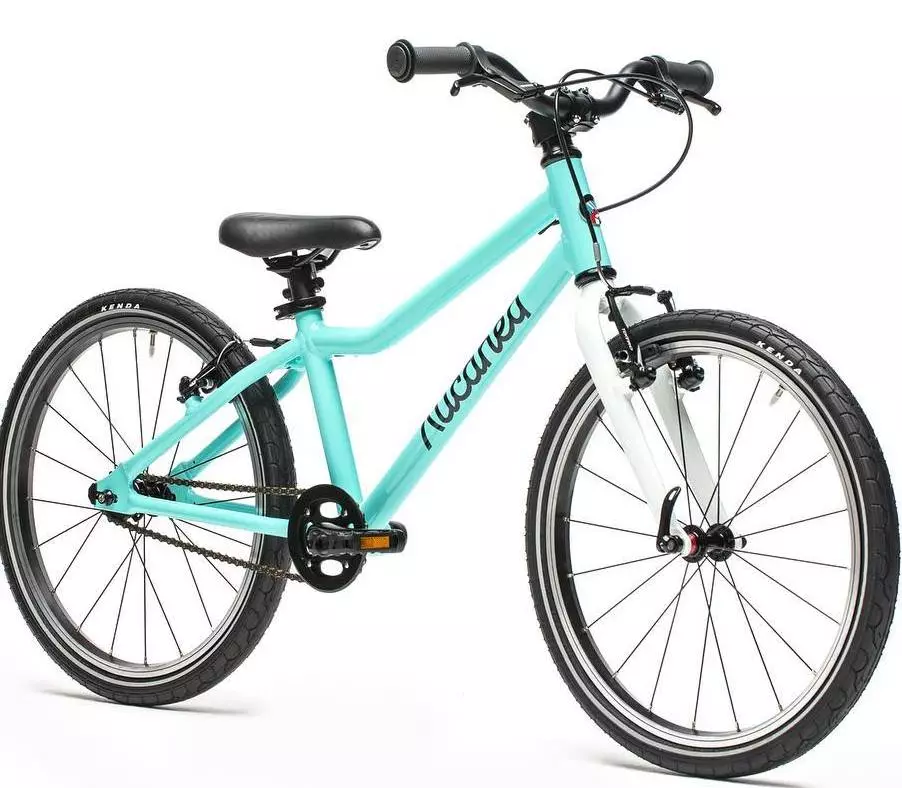 Балалар велосипелері «Лизазенділігімен»: велосипедтердің сипаттамасы «16-дәрілер 16» және «16-лайықты», компанияның басқа модельдері 20360_10