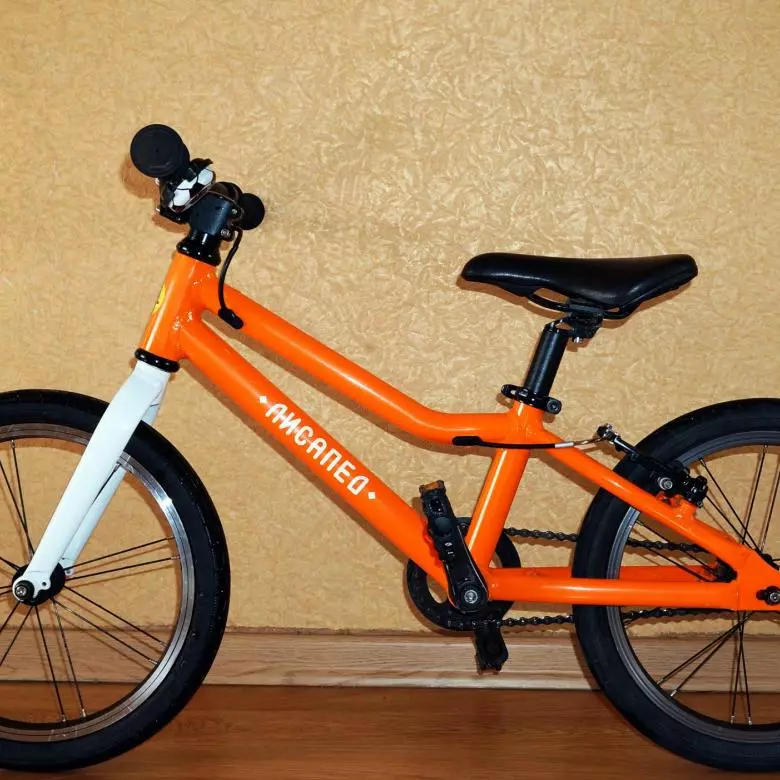 Балалар велосипелері «Лизазенділігімен»: велосипедтердің сипаттамасы «16-дәрілер 16» және «16-лайықты», компанияның басқа модельдері 20360_12