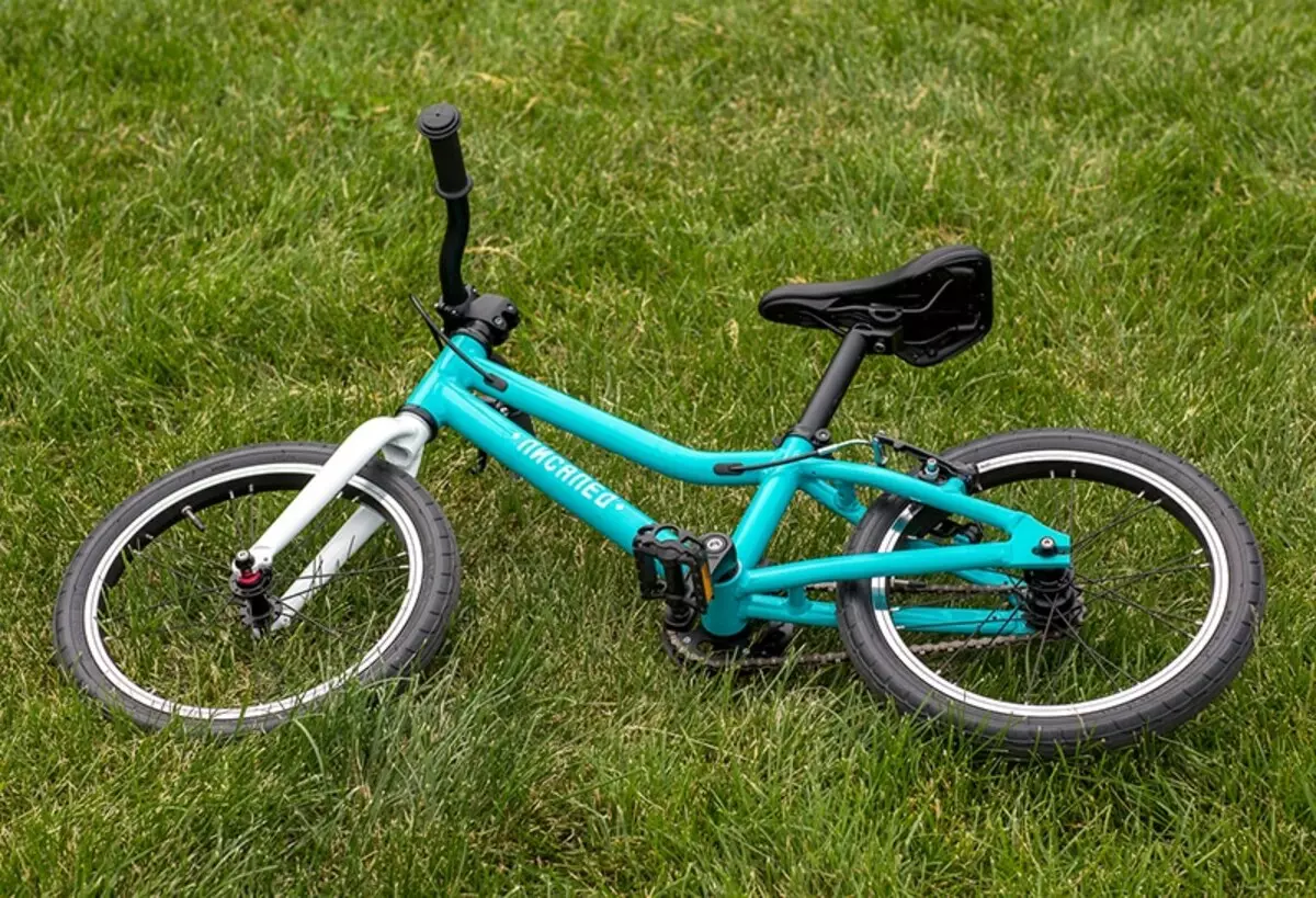 Les vélos pour enfants « Lisaped »: description des vélos « Lisaped 16 » et « 20 Lisaped », d'autres modèles de la société 20360_16