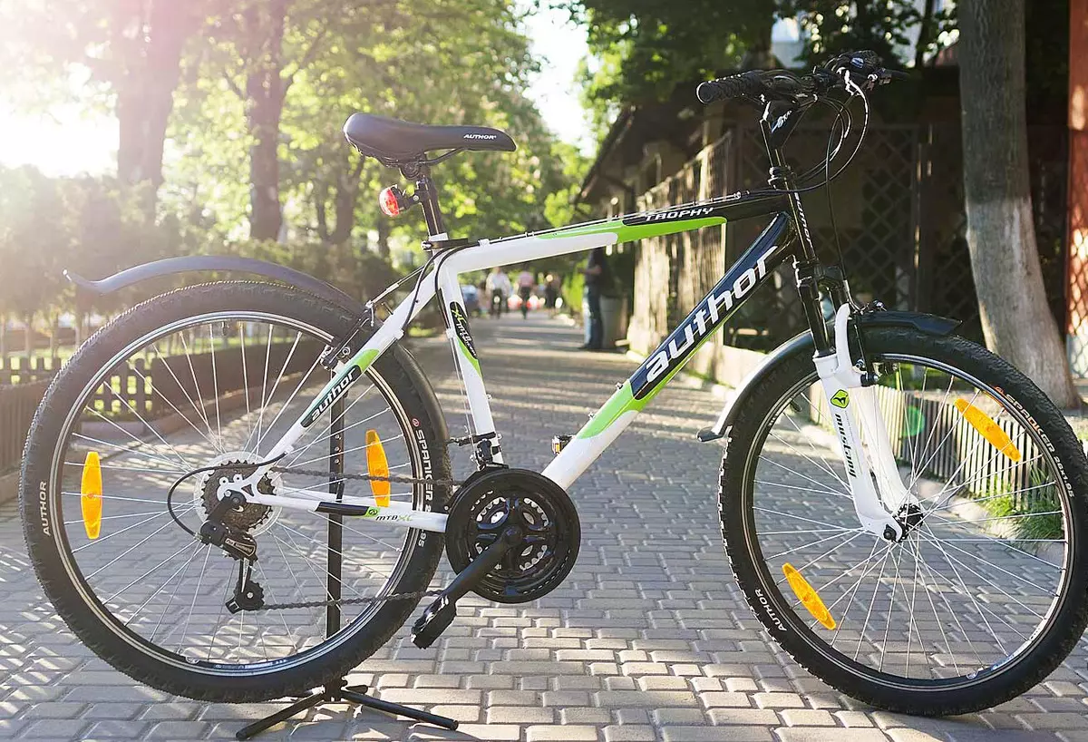 Autore Biciclette: modelli per bambini e adulti Soluzione ed upet, stylo e simplex, impulso e altri. Paese del produttore. Recensioni della proprietà 20386_3