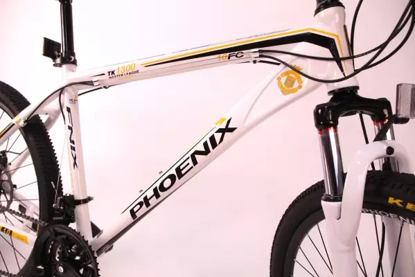 Phoenix kerékpárok: A felnőtt modellek áttekintése 20-24 és 26-29 hüvelyk. Jellemző és vélemények 20387_11