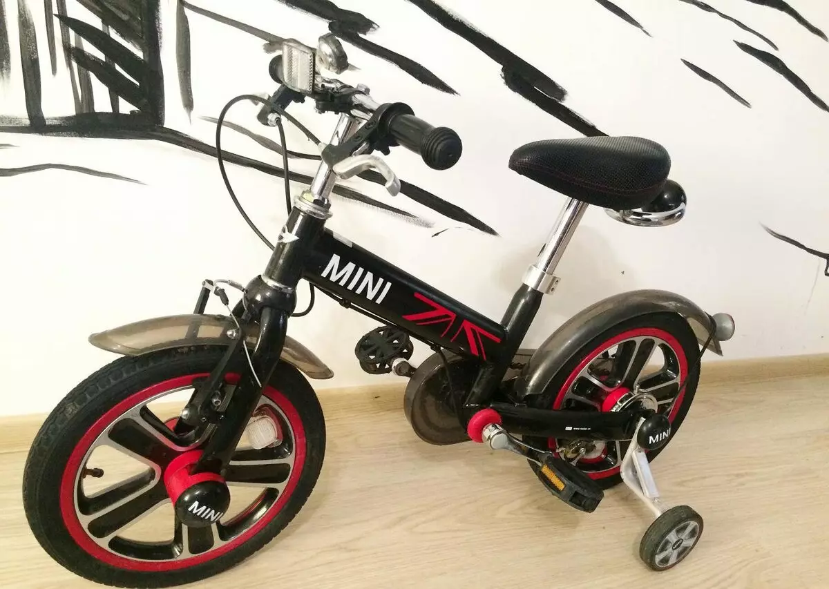 دراجة BMW الأطفال: استعراض نماذج دراجة ثلاثية العجلات KidSbike والدراجة جديد، البسيطة وكروز للأطفال 4 و 5 و 6 و 9 و 10 سنوات 20393_10