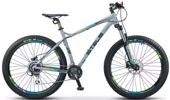 Bikes Bikes Mountain: Danasîna Navigator û Focus Bikes Female 20395_30