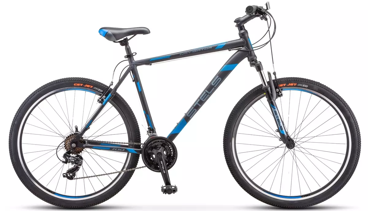 Bikes Bikes Mountain: Danasîna Navigator û Focus Bikes Female 20395_9