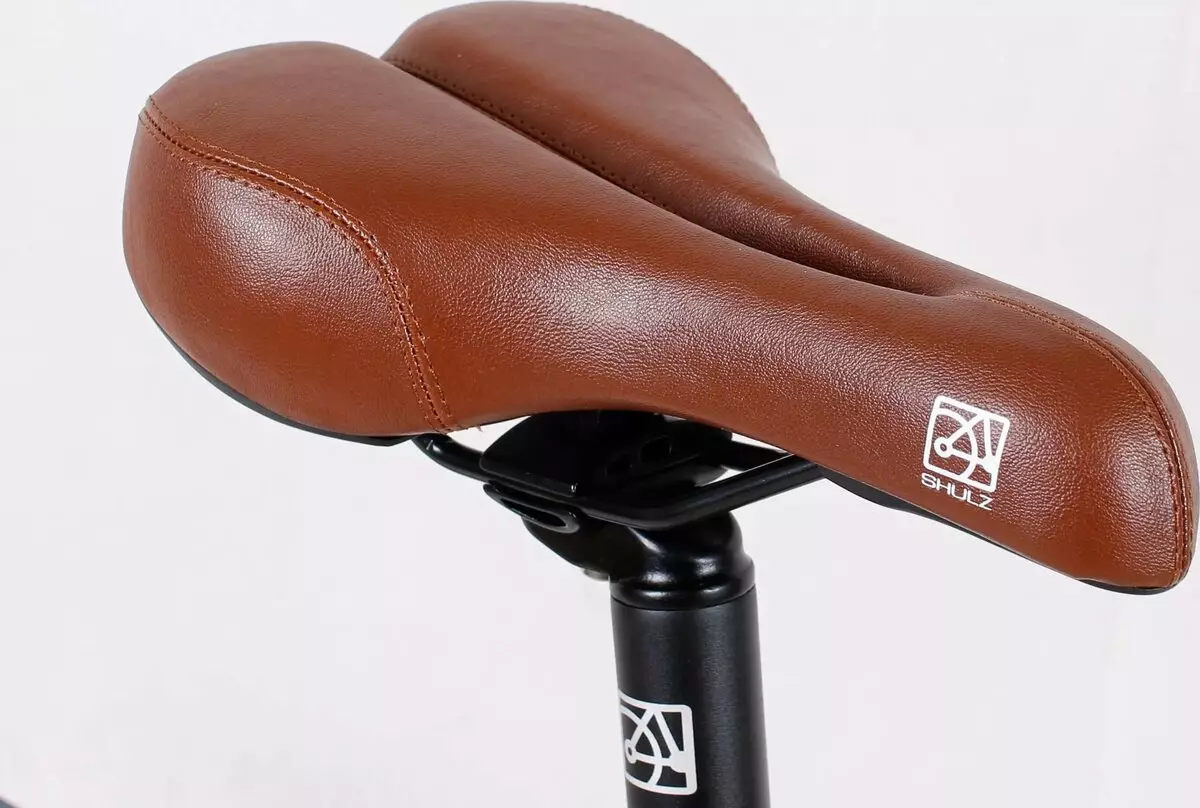 Folding Bike Shulz: Krabi Coaster եւ Multi, Hopper XL եւ հեշտ, այլ մոդելներ մեծահասակների եւ երեխաների համար 20396_12