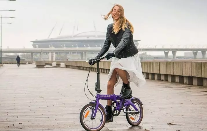 접이식 자전거 Shulz : Krabi 코스터 및 멀티, 호퍼 XL 및 쉬운, 성인 및 어린이를위한 다른 모델 20396_2