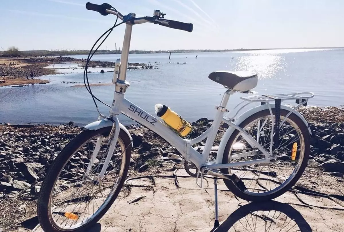 Bicicleta dobrável Shulz: Coaster Krabi e multi, Hopper XL e fácil, outros modelos para adultos e crianças 20396_23