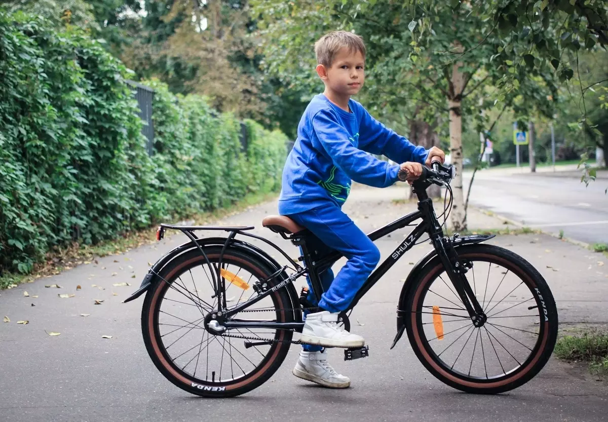 Folding Bike Shulz: Krabi Coaster եւ Multi, Hopper XL եւ հեշտ, այլ մոդելներ մեծահասակների եւ երեխաների համար 20396_4
