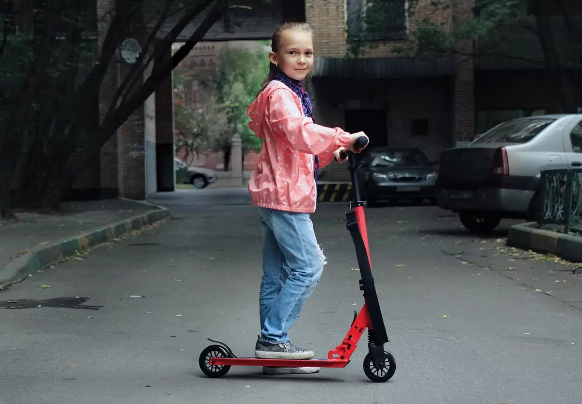 Shulz plegable bicicleta: Coaster Krabi i Multi, Hopper XL i fàcil, altres models per a adults i nens 20396_6